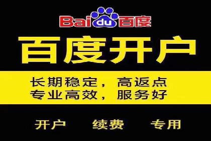 案例解读：SEM托管助力电商销售增长